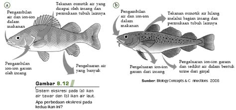 Mastering Biology: Materi Sistem Ekskresi pada Hewan #Part 1#