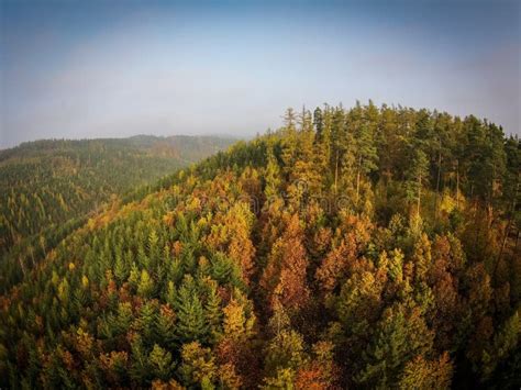 Autumn forest aerial view stock photo. Image of cloud - 123558040