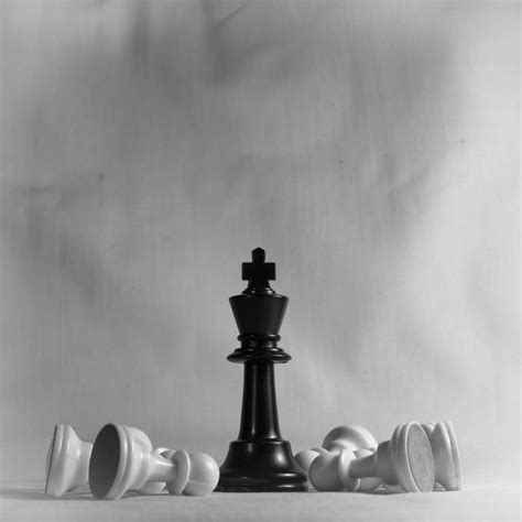 Chess Pieces Photography