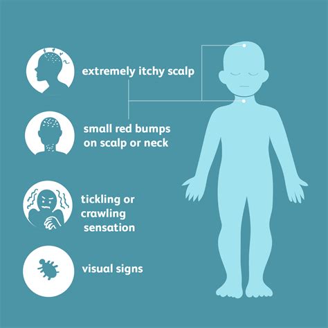 Lice: Signs, Symptoms, and Complications