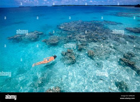 Woman snorkeling, Isle of Nosy Be, Madagascar / lagoon Stock Photo - Alamy