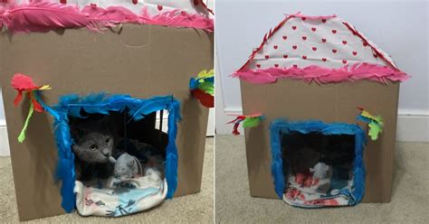 How to Make a DIY Cat Playhouse | POPSUGAR Pets