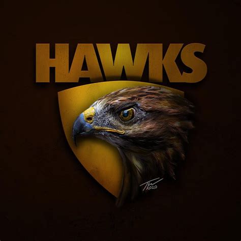 AFL 2020: Realistic AFL club logos, creative new team logos by Tom Ward ...