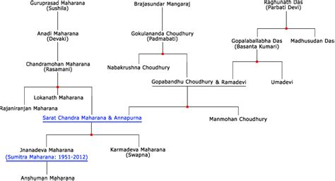 Jnanadeva Maharana's homepage