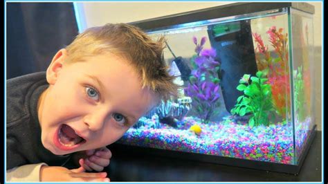 We got our FIRST FISH TANK for the KIDS! 5 GALLON AQUARIUM TOUR! | Fish tank for kids, Fish tank ...