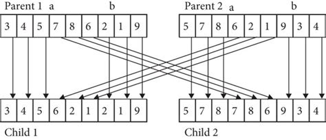 Diagram of two-point crossover of chromosomal genes. | Download ...