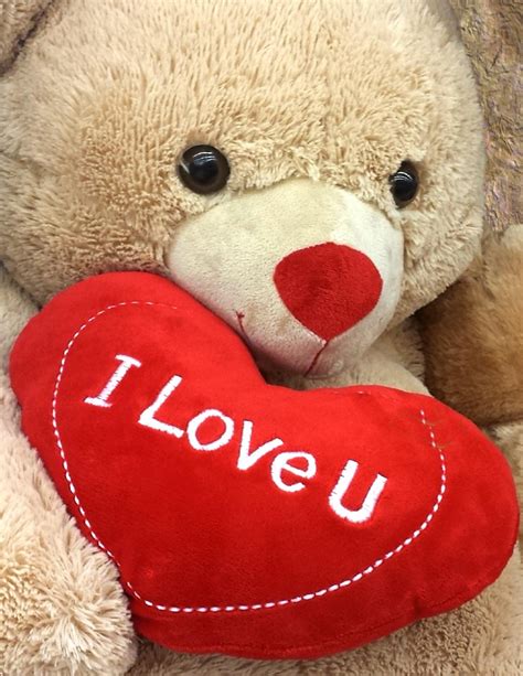 Free Images : flower, love, gift, rose, red, romantic, teddy bear, textile, plush, cubs ...