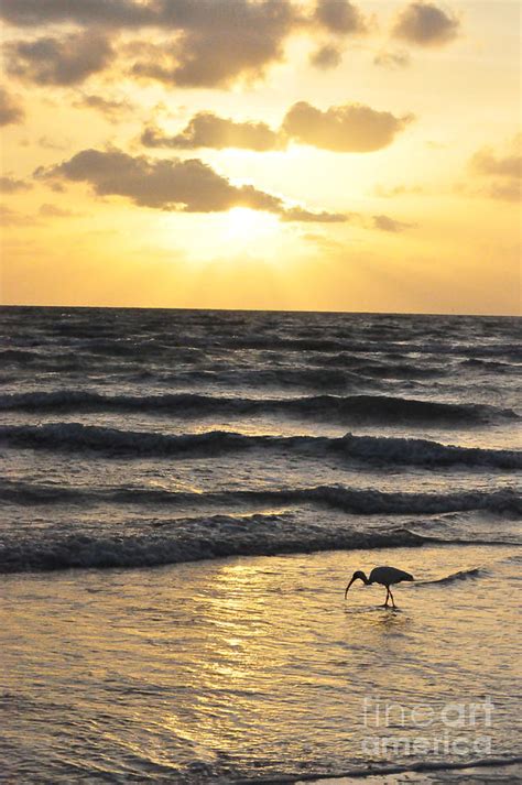 Sunset Barefoot Beach Photograph by Laura Tressler - Fine Art America