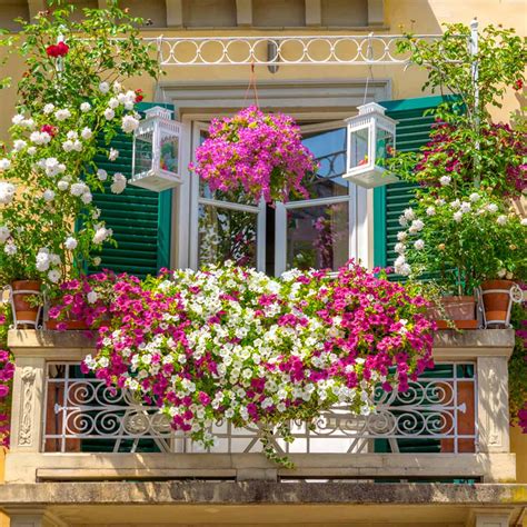 Ways to Create a Small Balcony Garden - Ferns N Petals