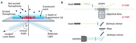 Application of Lab-on-a-Chip Techniques for Single-Molecule ...