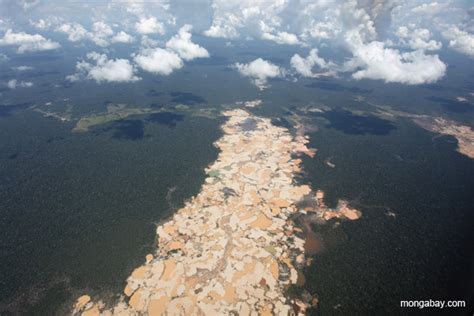 Picture of the day: the high price of gold for the Amazon rainforest