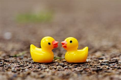 Free photo: Ducks, Figures, Two, Pair, Cute - Free Image on Pixabay ...