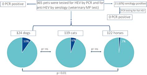 Results of serological and PCR testing. | Download Scientific Diagram