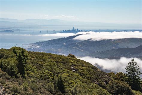 Hiking in Mount Tamalpais State Park - Salvatore Ventura