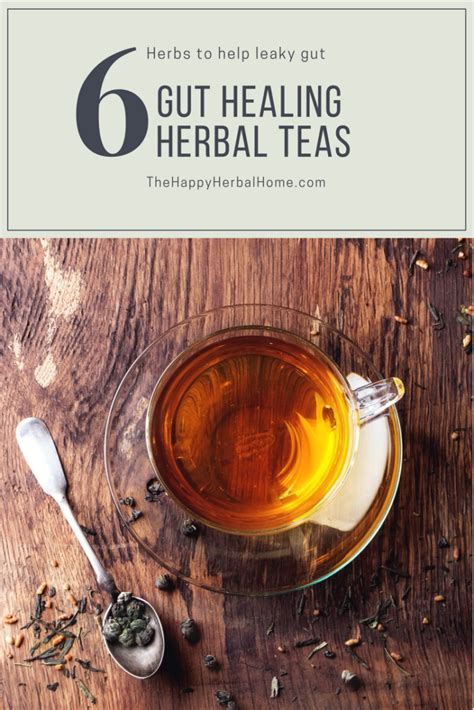 Gut healing herbal teas herbs to help heal leaky gut syndrome – Artofit