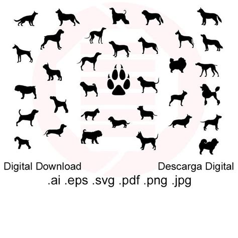 Dog Silhouette Dog Breed SVG Vector Animal Clipart Silhouette - Etsy