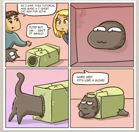 Funny Cat Comics Strips - Perpustakaan Sekolah