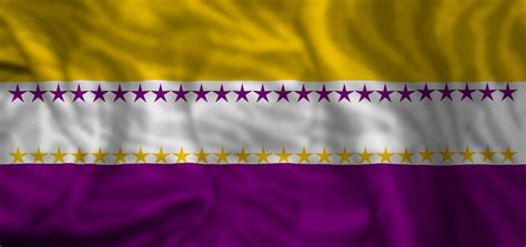 women's suffrage flag 50 stars | Women’s suffrage flag made … | Flickr