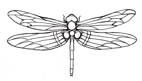 19 best Dragonfly Tattoo Outlines images on Pinterest | Butterflies ...