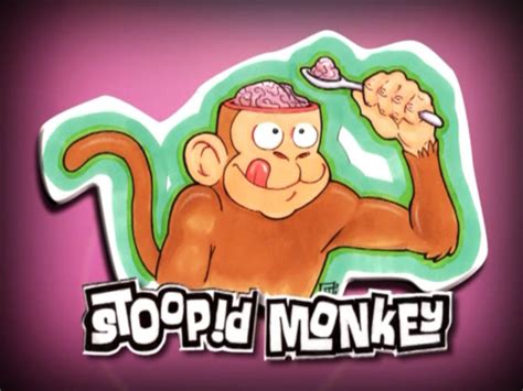 Is A Monkey A Better Lawyer Than Attorney John M. Schwarz? - MFI-Miami