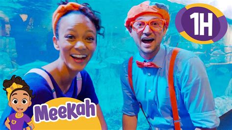 Meekah & Blippi Visit an Aquarium | Educational Videos for Kids | Blippi and Meekah Kids TV ...