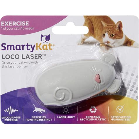 8 Best Laser Pointer Toys for Cats - Whiskers Magoo