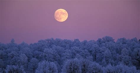 RETRO KIMMER'S BLOG: SNOW MOON-LUNAR ECLIPSE-COMET FEB 10-11 2017