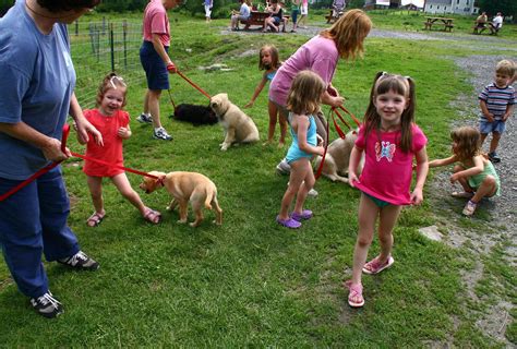 Puppy Socialization: Ways to Help Your Puppy Socialize