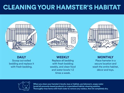 How To Properly Clean Your Hamster And Hamster Cage - Petco