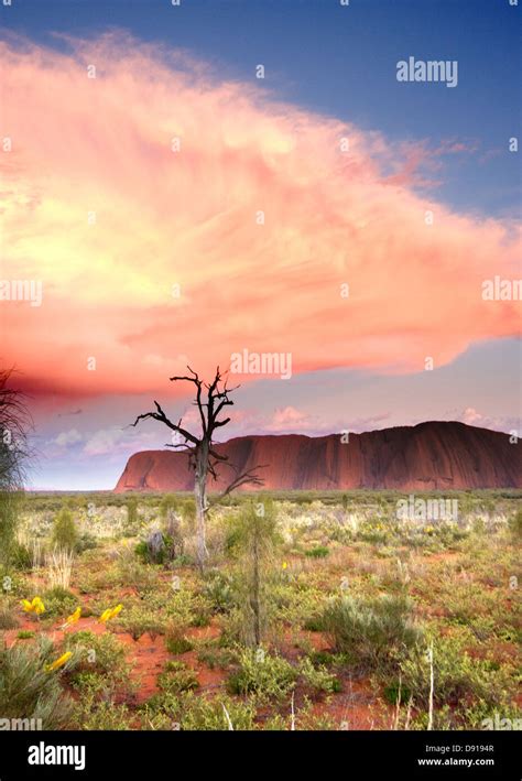 Ayres rock at sunrise Stock Photo - Alamy