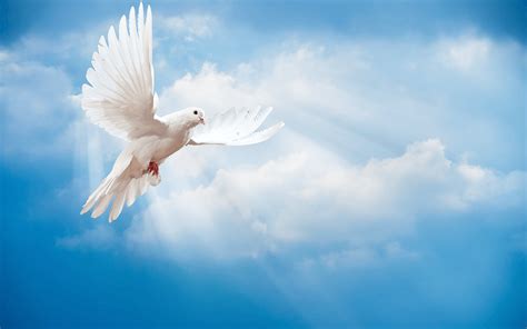 Funeral Clouds Wallpapers - Top Free Funeral Clouds Backgrounds - WallpaperAccess