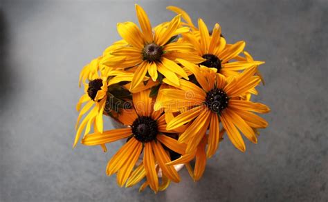 Yellow flowers in a vase stock photo. Image of beautiful - 99500956