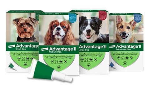 Advantage® II for Dogs: Flea Treatment and Prevention