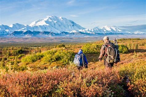 Hiking in Denali National Park - Denali Guidebook in 2022 | Denali ...