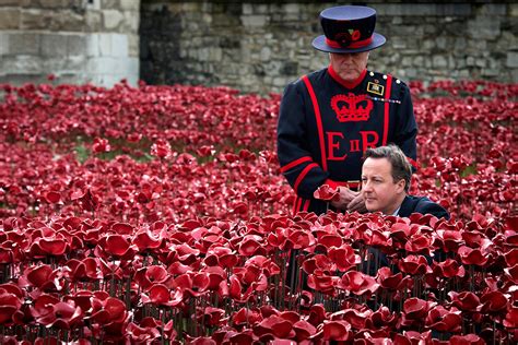 Hot Shots Photos of the Day: Tower of London Poppies, Berlin Wall Balloons, Typhoon Haiyan