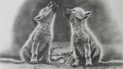Realistic Wolf Puppy Drawing