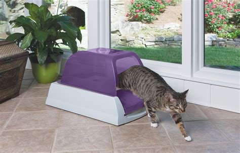 Amazon.com : ScoopFree Ultra Self Cleaning Litter Box - Purple : Scoop Free Ultra Litter Box ...