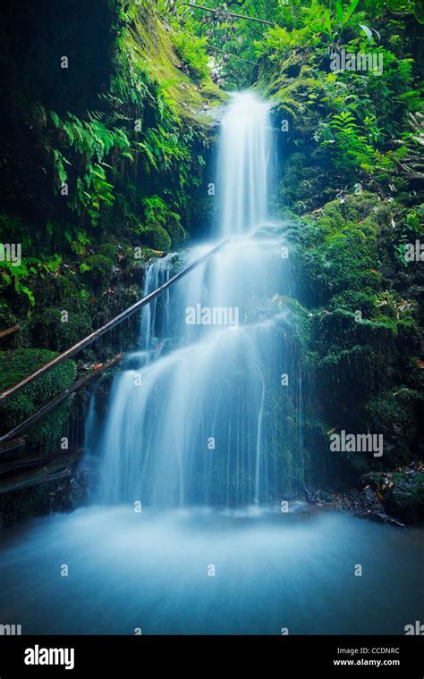 Beautiful Lush Waterfall in Hawaii Stock Photo - Alamy