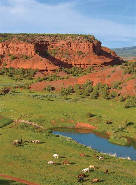 Wyoming Ranch Featured in Forbes - Hall and Hall