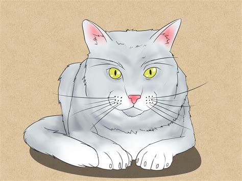 The 4 Best Ways to Draw a Cat - wikiHow