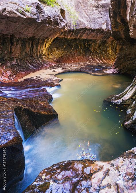 The subway slot canyon in zion national park;Utah, united states of ...