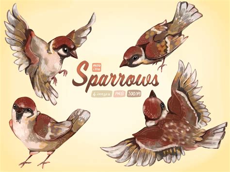 Watercolor Sparrow Birds Clipart Sparrows Cliparts Cute Bird Download Instant Download Brown ...