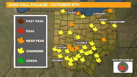 Fall Foliage | Check the leaf color across Ohio 2020 | wkyc.com