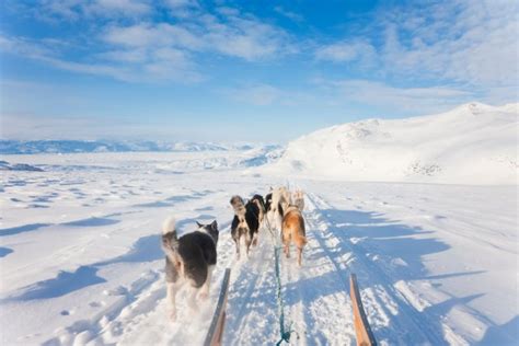 What is the difference between Iceland and Greenland? - Play Iceland