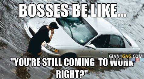 Pictures of the day -75 pics- Bosses Be Like, You're Still Coming To Work Right ? | Work humor ...