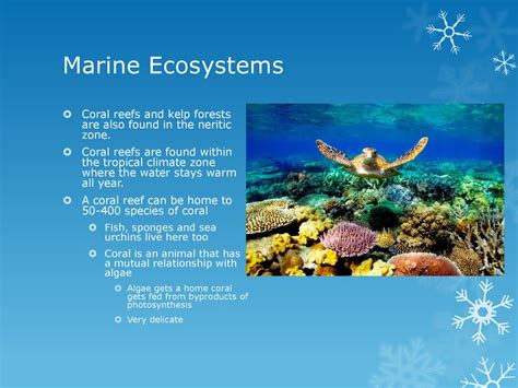 The Biosphere Chapter ppt download