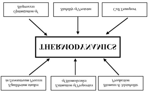 The applications of thermodynamics in various fields of biotechnology ...