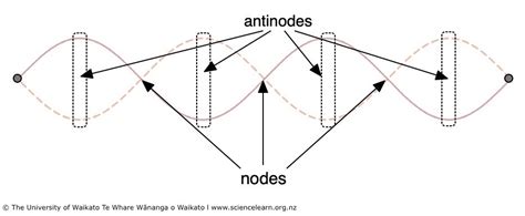 Nodes and antinodes on a standing wave — Science Learning Hub