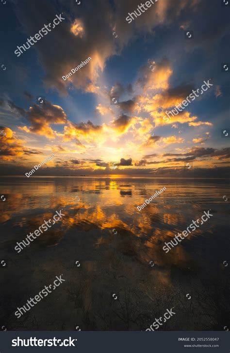 Melodramatic Stock Photos, Images & Photography | Shutterstock