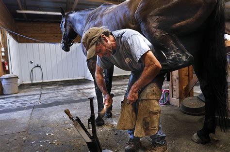 horse farrier near me - Rocky Messenger